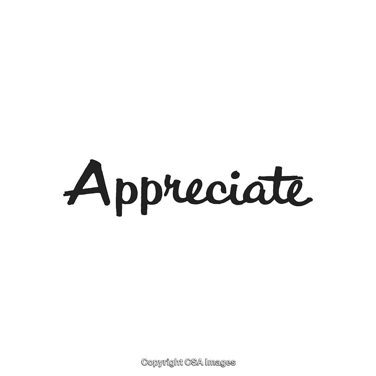 Handwritten Black Calligraphy Word 'Appreciate' on a White Background