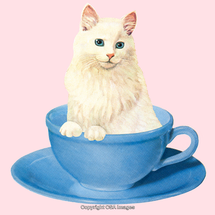 Adorable White Cat Nestled in a Vibrant Blue Teacup on Pink Background