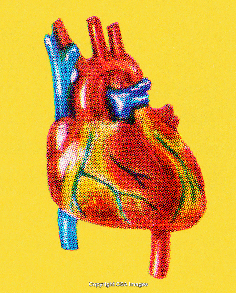 Vivid Illustration of a Human Heart in Pop Art Style