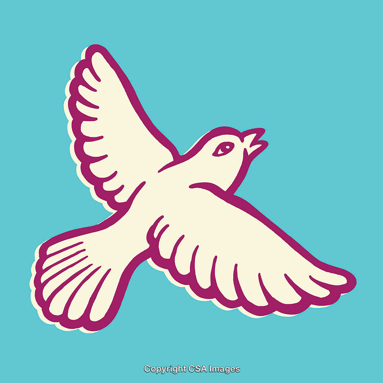 Colorful Line Art Illustration of a Dove in Flight on Blue Background