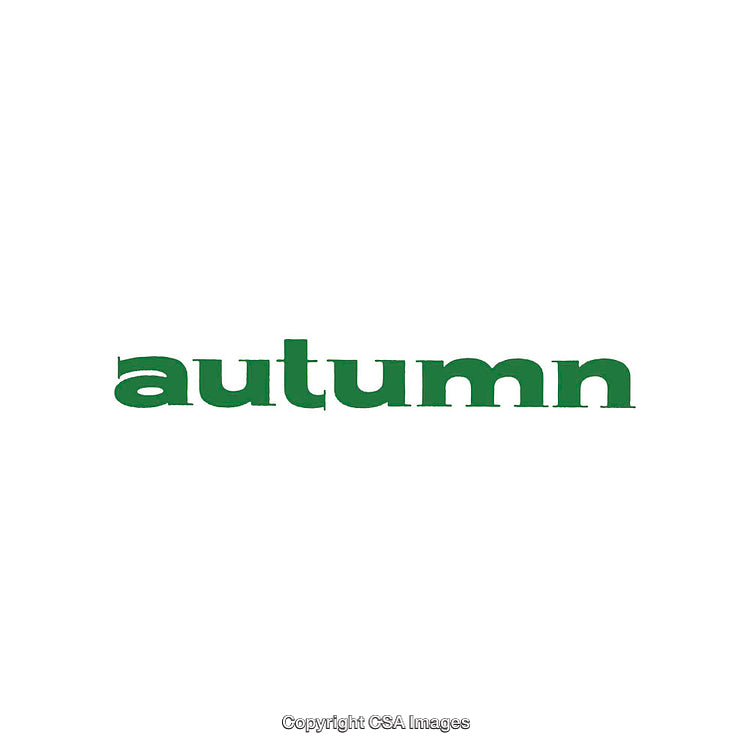 Minimalistic Green Autumn Text on White Background