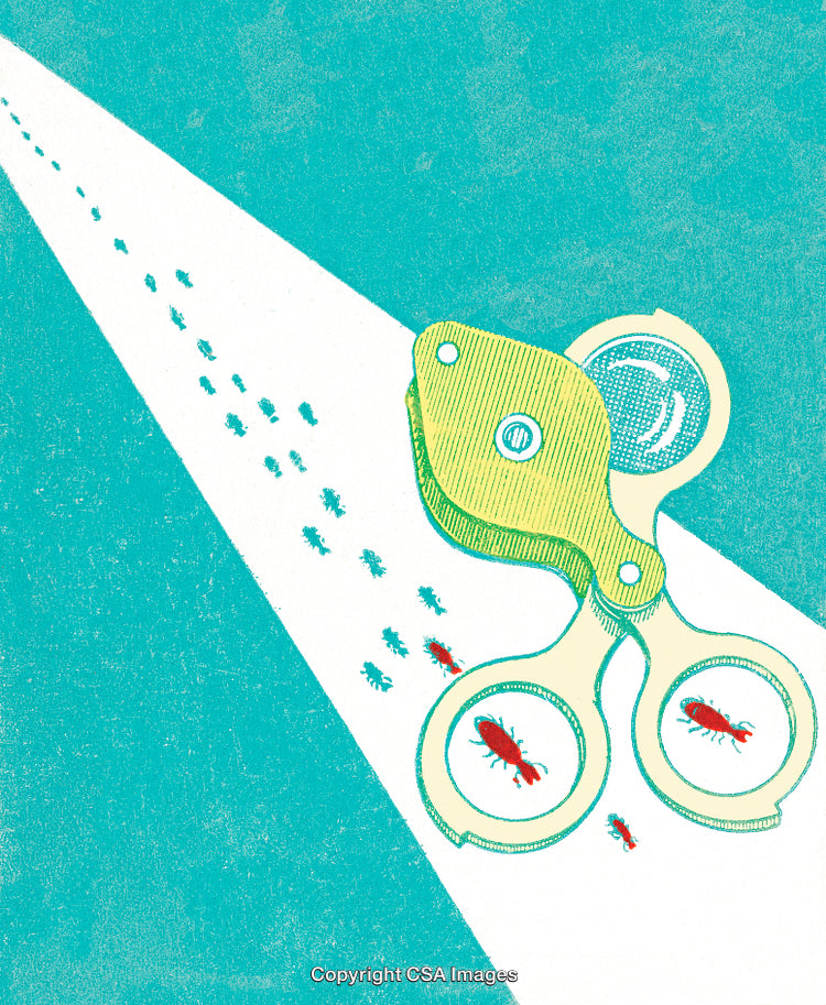 Illustration of Magnifying Glass Highlighting Insects on a Bright Blue Background