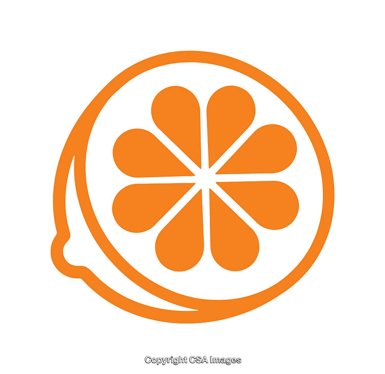 Orange Fruit Slice Icon Design with Bold Abstract Features