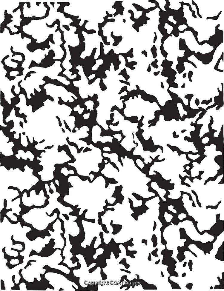 Abstract Black and White Pattern with Organic Shapes and Lines