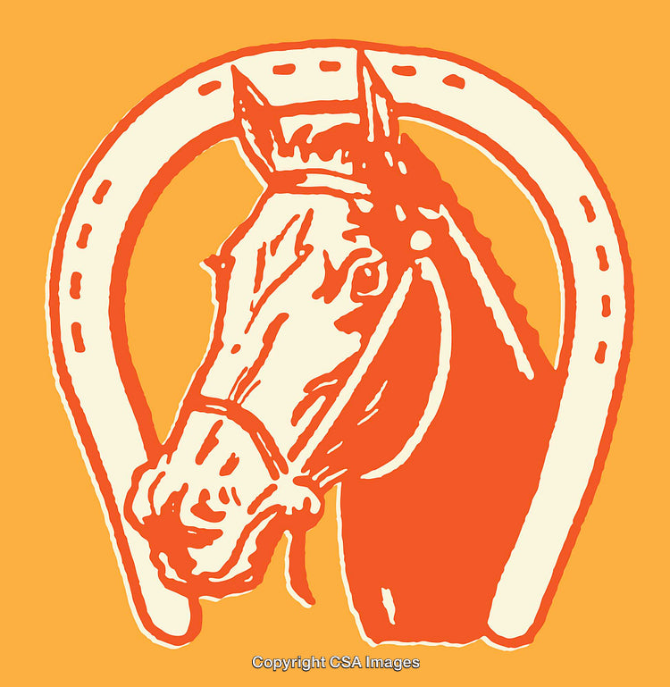 Vintage Horse Illustration with Horseshoe on Bright Orange Background