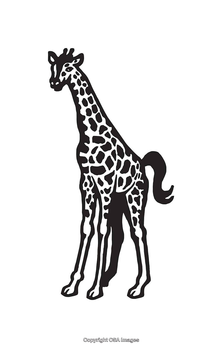 Black and White Line Art Illustration of a Giraffe