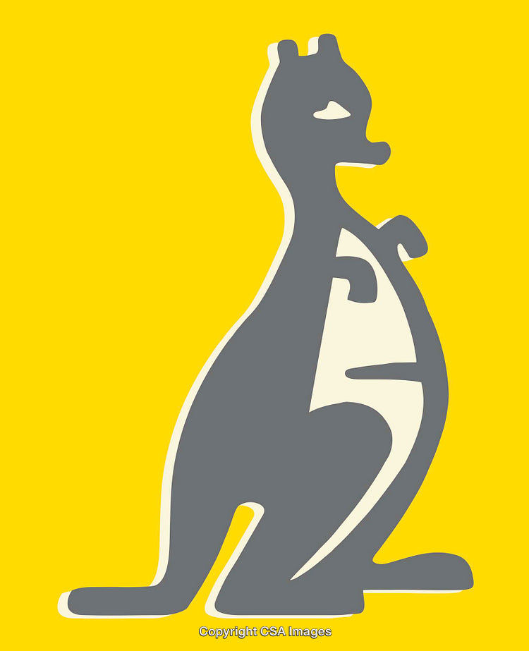 Gray Cartoon Kangaroo Illustration Against a Bright Yellow Background