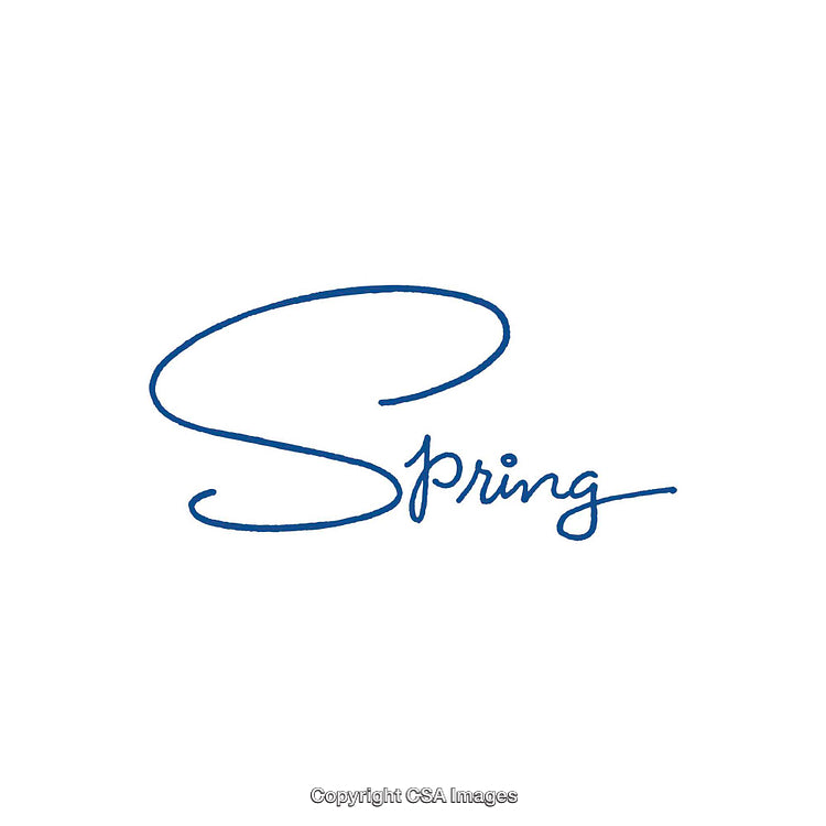Elegant Spring Text in Stylish Blue Calligraphy on White Background