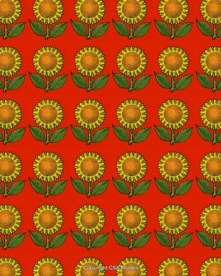 Pattern of Sunflowers