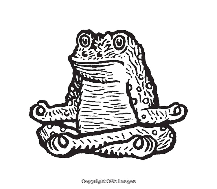 Black and White Line Art of a Meditating Frog Illustration