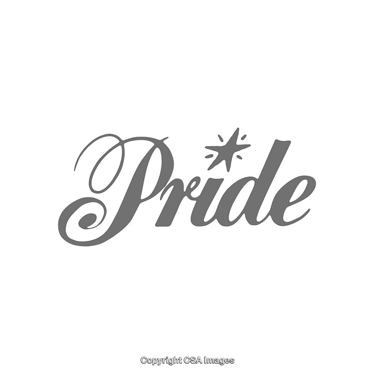 Elegant Artistic Typography Displaying the Word Pride with Decorative Flair