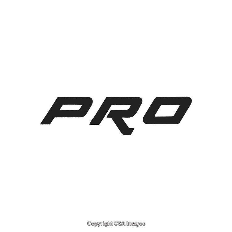 Minimalist Black PRO Text Logo on Plain White Background