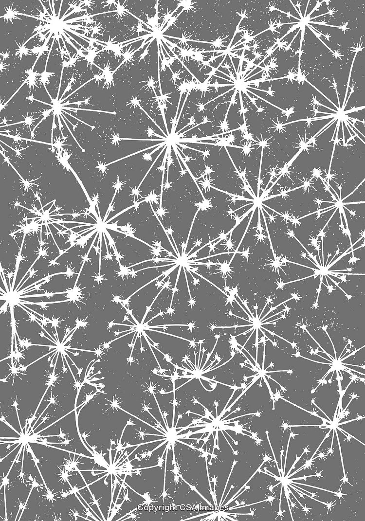 Abstract White Patterned Background Featuring Dandelion Shapes in Gray