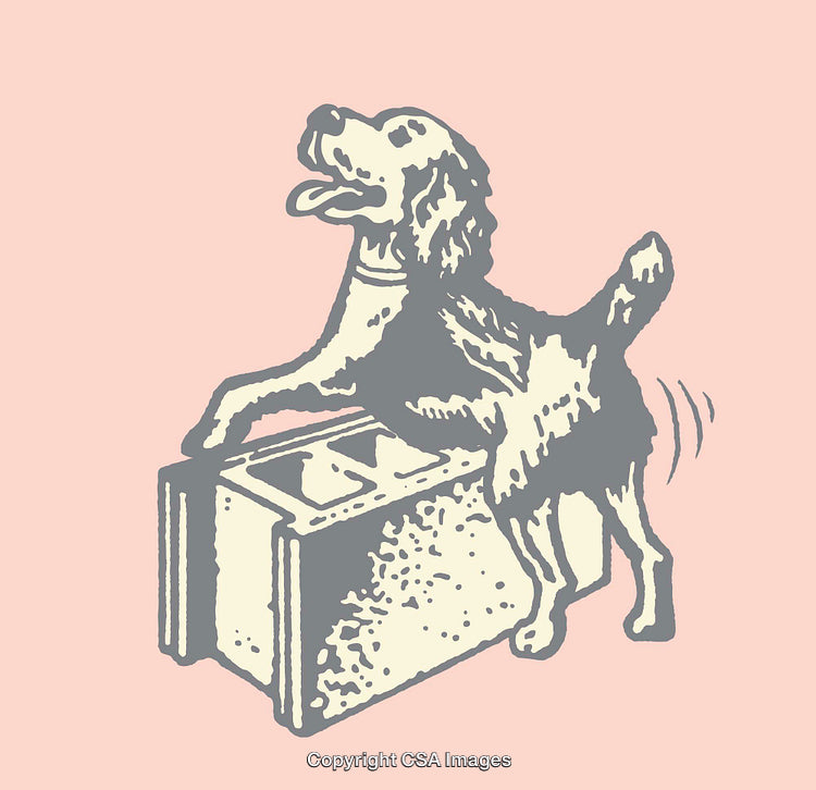 Playful Dog Illustration With Modern Line Art Style