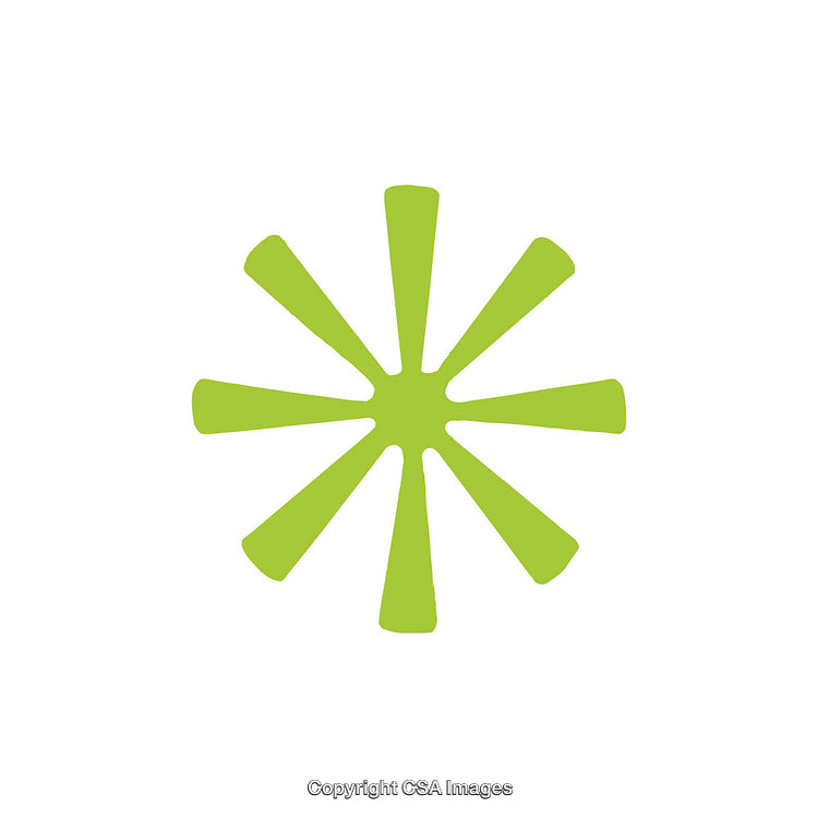 Green Asterisk Style Symbol on White Background
