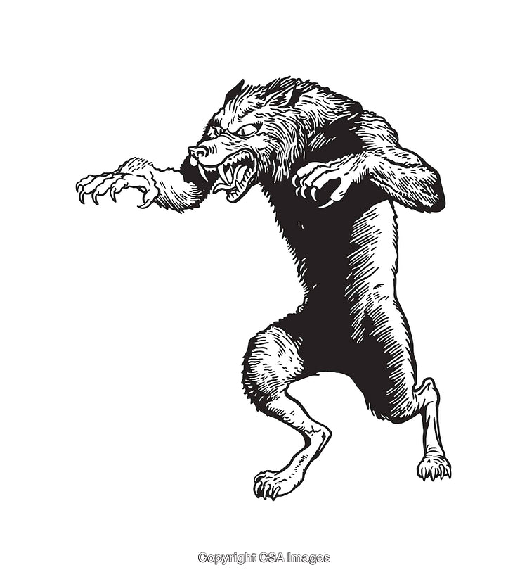 Detailed Black-and-White Line Art Illustration of a Ferocious Werewolf