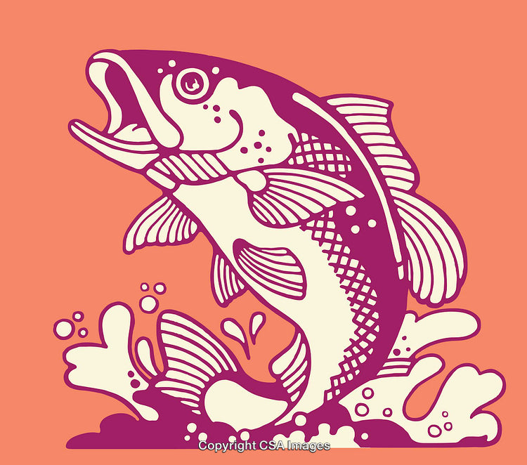 Colorful Line Art Illustration of a Splashing Salmon Jumping from Water