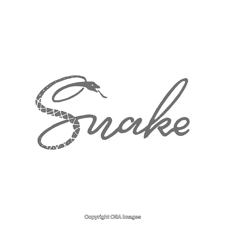 Minimalistic Snake-Themed Calligraphy Design Enhancing Creative Branding and Artworks