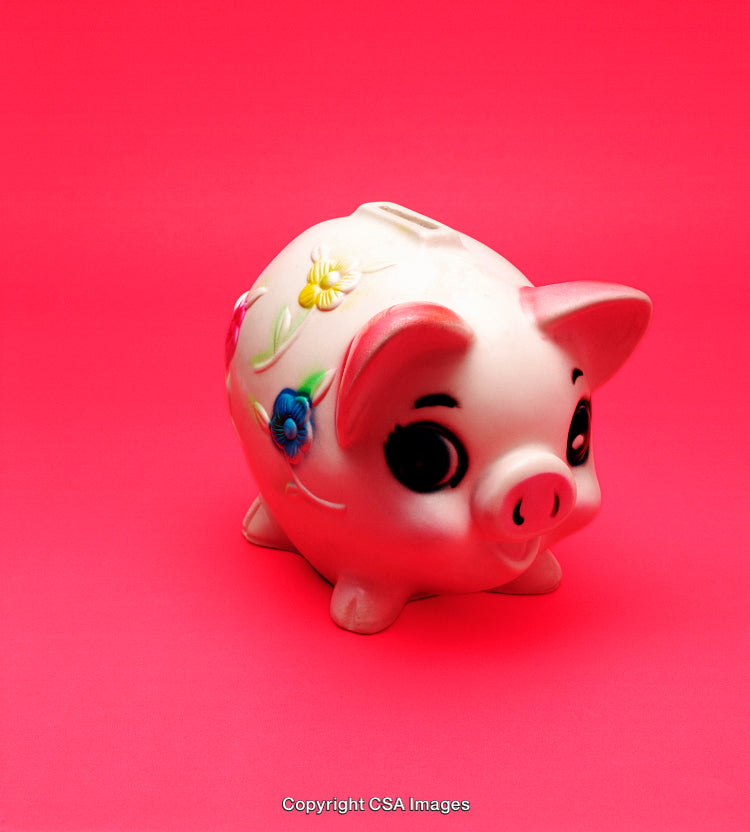 Cute Ceramic Piggy Bank with Floral Decor on Bright Red Background