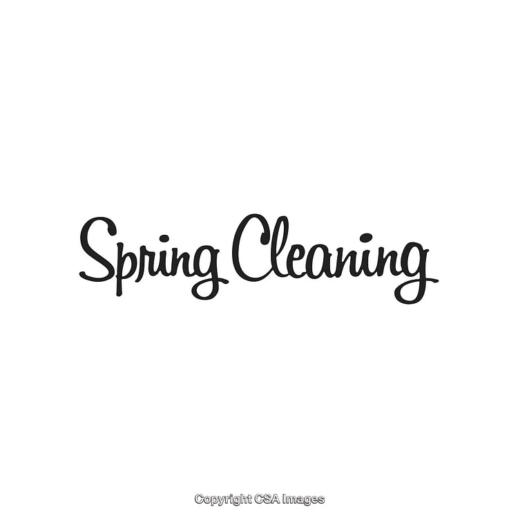 Handwritten Text 'Spring Cleaning' on White Background in Stylish Calligraphy