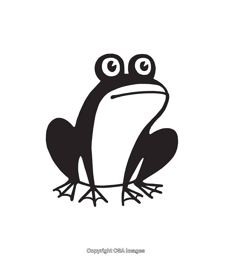 Black and White Frog Line Art Illustration with Simplified Details