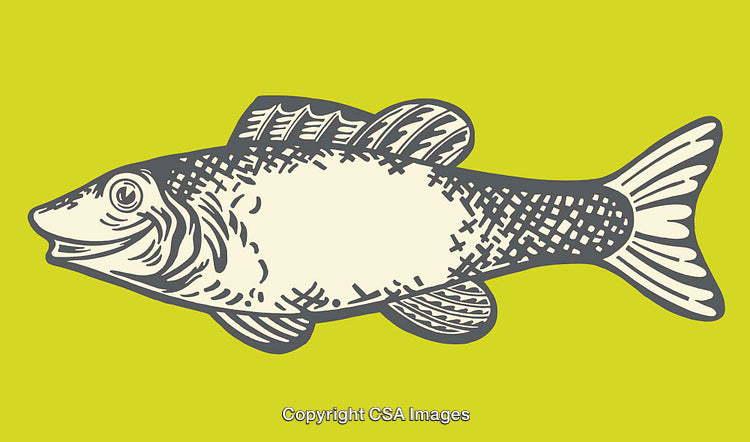 Vintage Style Fish Illustration in Bold Monochromatic Design