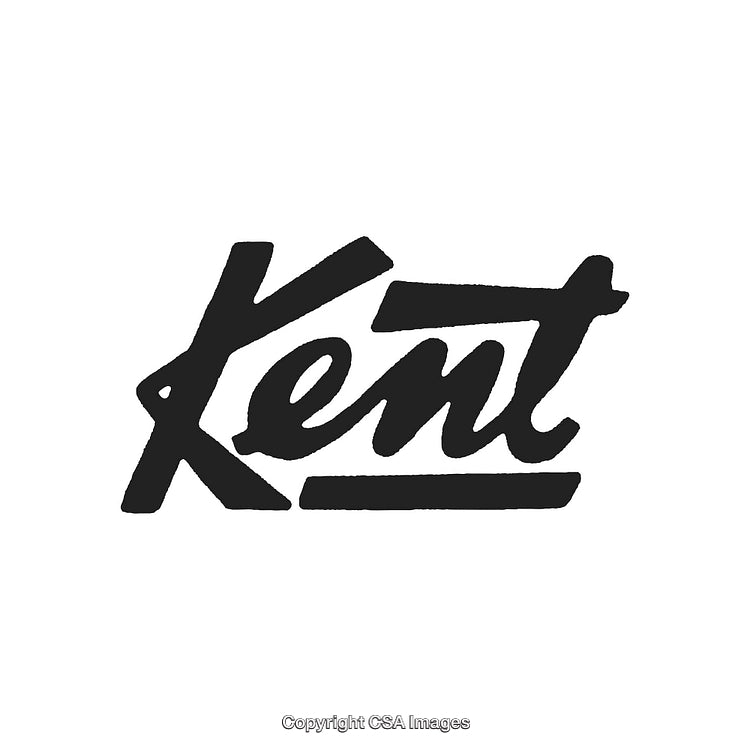 Stylish Handwritten Black and White Logo Design on White Background