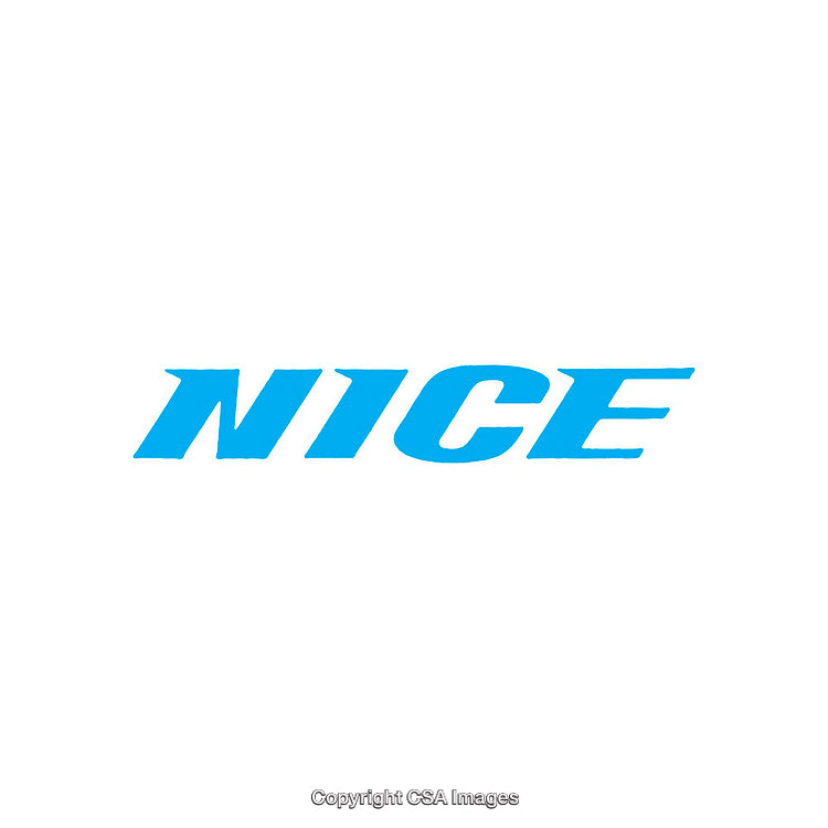 Blue Stylized Text 'NICE' on White Background