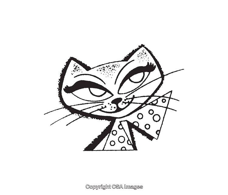 Stylish Black-and-White Cat Illustration with Whimsical Details and Accessories