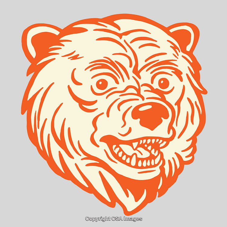 Intricate Orange Line Art of a Bear Head on a Gray Background