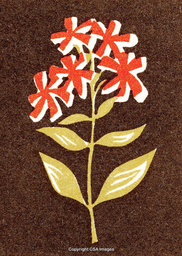 Vintage Illustration of Red Flowers on a Brown Background with Green Leaves