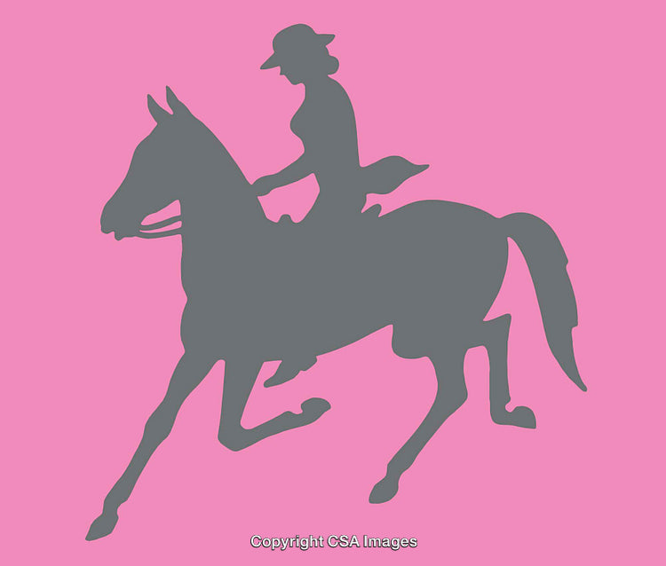Silhouette of Person Horseback Riding on Pink Background