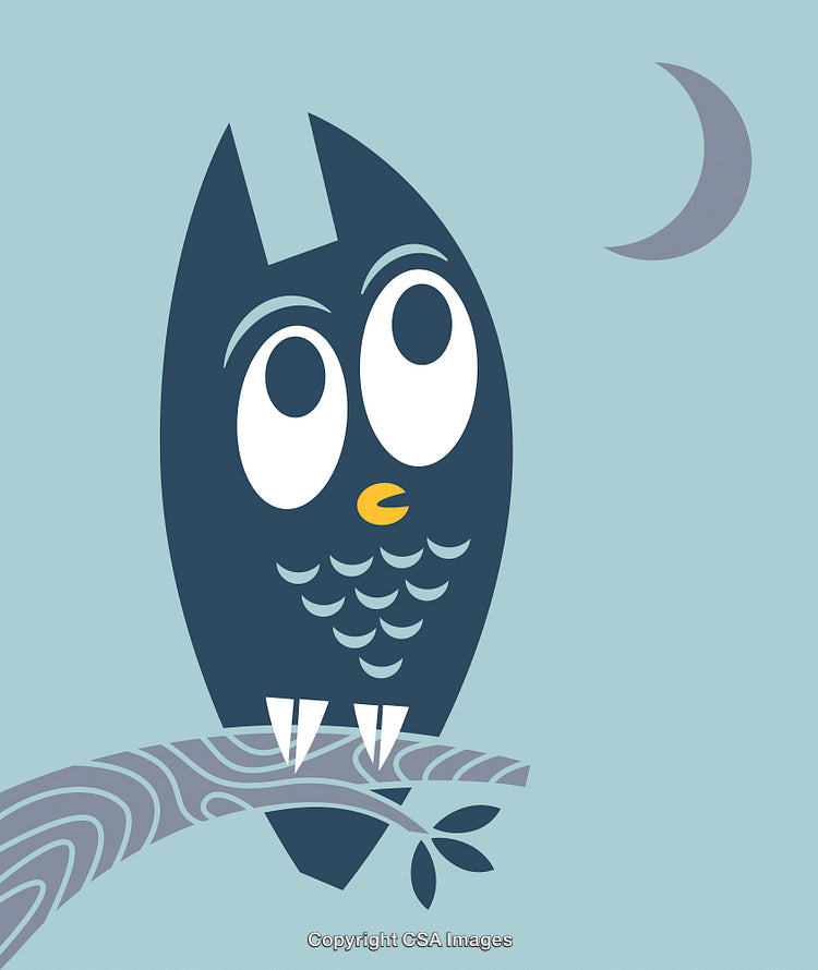 Whimsical Cartoon Owl Perched Under Crescent Moon in Nighttime Scene