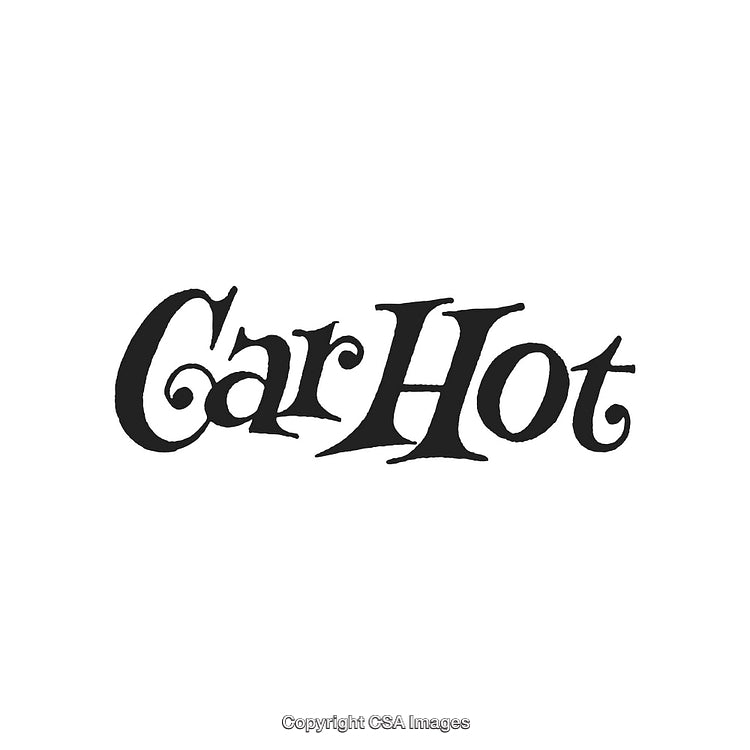 Stylized Black and White Text Logo with Artistic Font Design