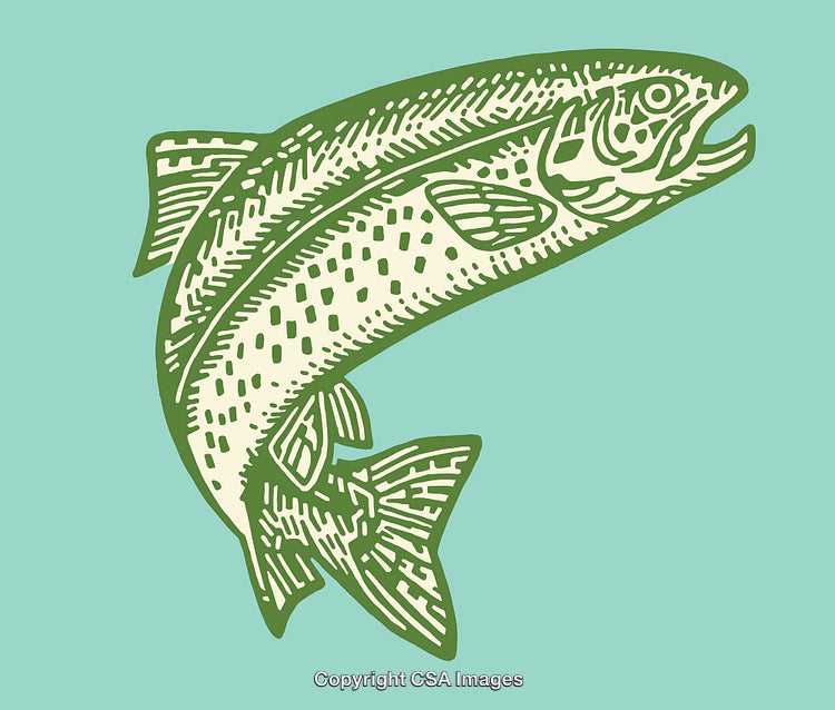 Green Line Art Illustration of a Trout Fish on Blue Background