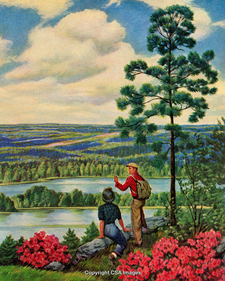 Hikers Enjoying Scenic Lake View Surrounded by Pine Trees and Blossoming Flowers