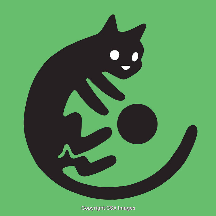 Playful Black Cat Illustration on Green Background with Abstract Style