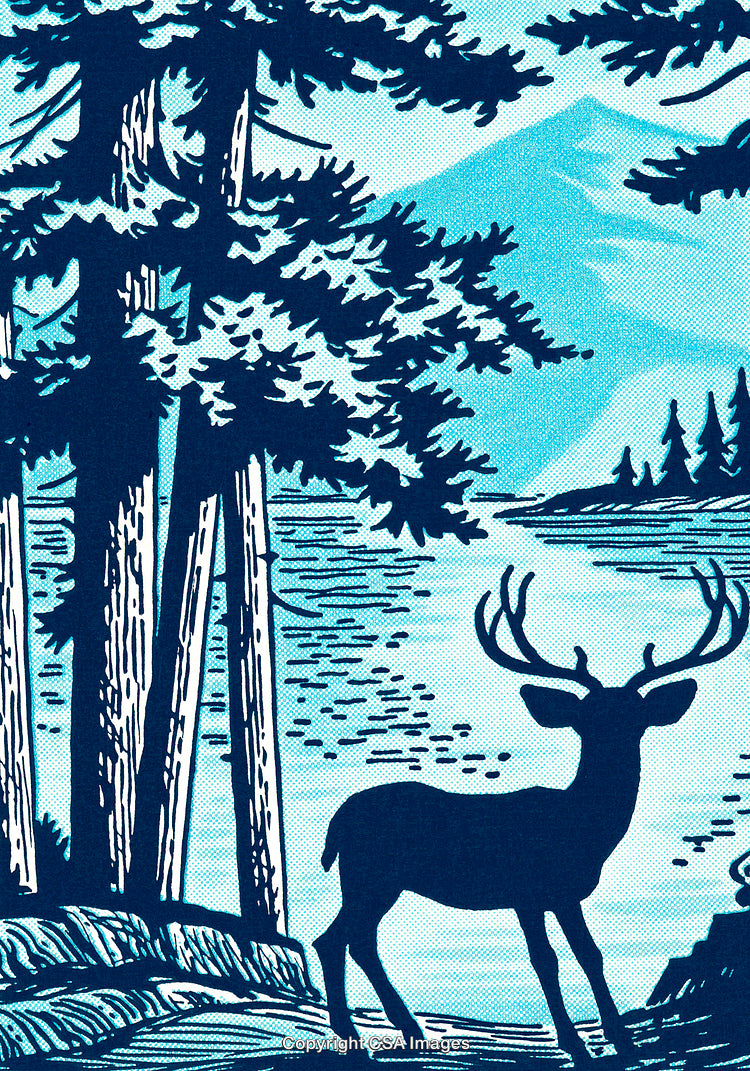 Elegant Silhouette of a Deer in a Tranquil Forestry Scene