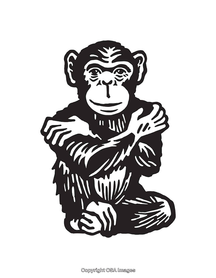 Black and White Line Art Illustration of a Sitting Monkey