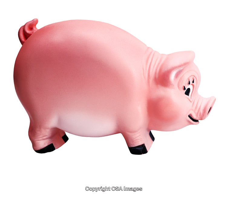 Pink Plastic Toy Pig Isolated on White Background