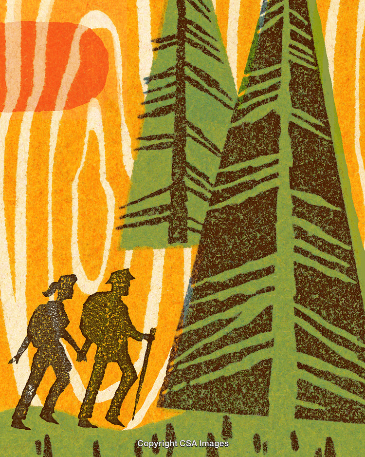 Hikers Exploring a Forest with Abstract Artistic Tree Designs