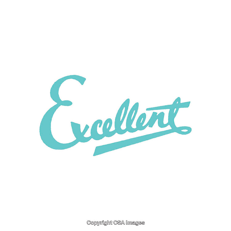 Stylish Typographic Artwork Featuring Word 'Excellent' in Light Blue Font
