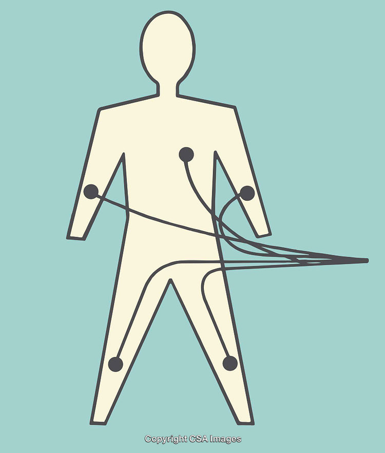 Minimalist Medical Diagram Depicting Human Anatomy with Connected Lines
