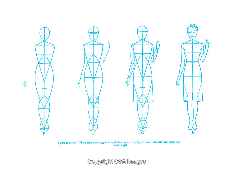 Illustrated Figure Drawing Stages with Proportional Diagrams and Guidelines