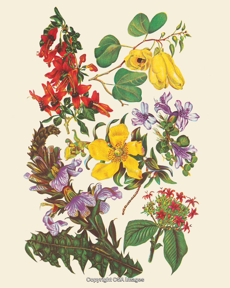 Colorful Illustration of Various Exotic Flowers on a Cream Background