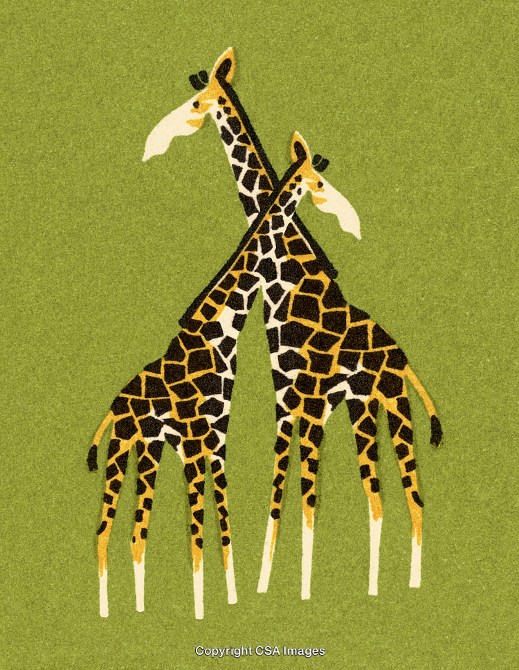 Two Giraffes Standing Together on a Vibrant Green Background