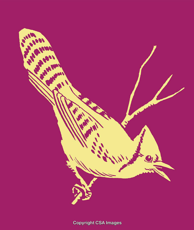 Colorful Line Art Illustration of a Bird Perched on a Branch