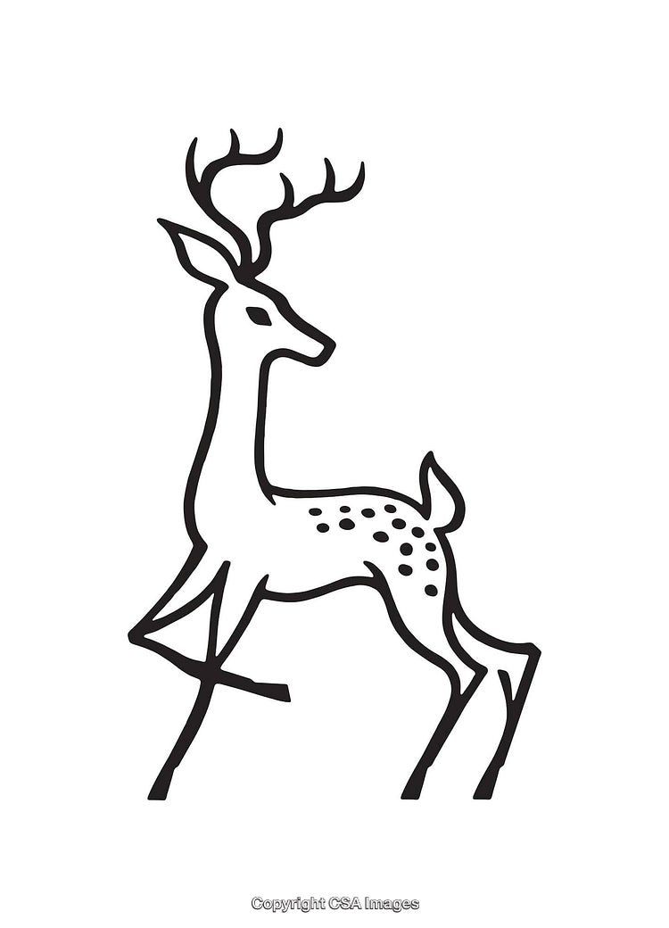 Elegant Black and White Line Art of a Deer Illustration