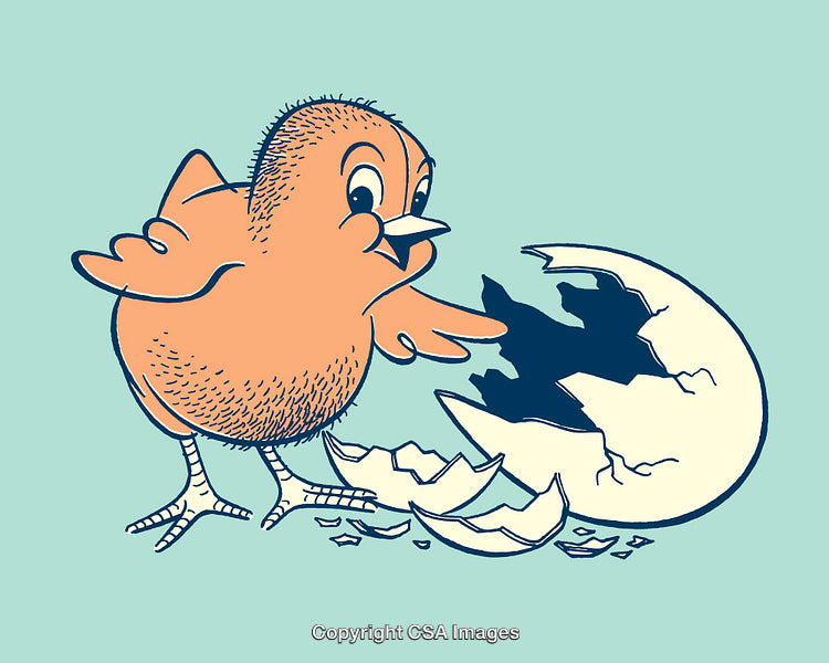 Cute Cartoon Chick Emerging From a Cracked Eggshell in Colorful Illustration