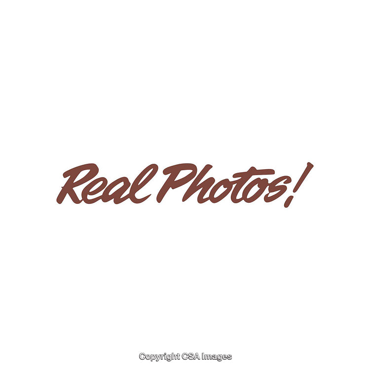 Bold Cursive Typography Displaying 'Real Photos' in Brown on a White Background